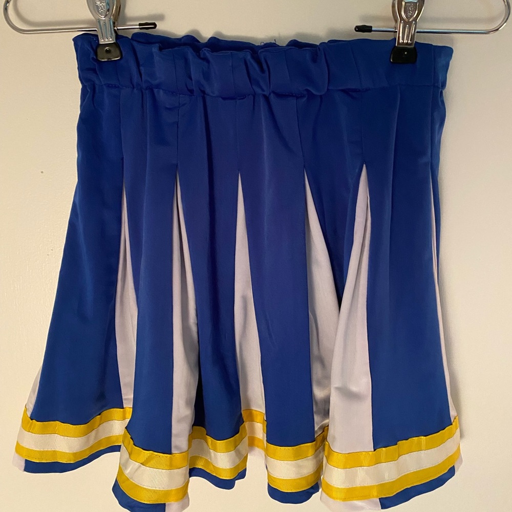 Pleated Skirt
